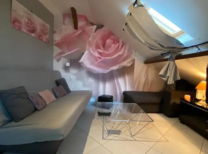 Studio Cosy A 35 Mn De Paris.