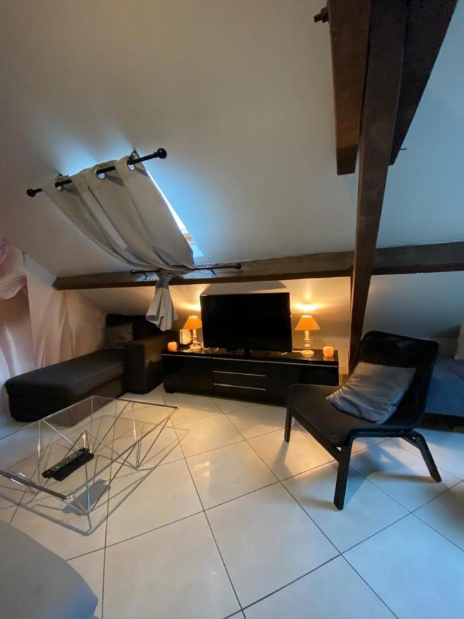 Apartment Cosy A 35 Mn De Paris. *